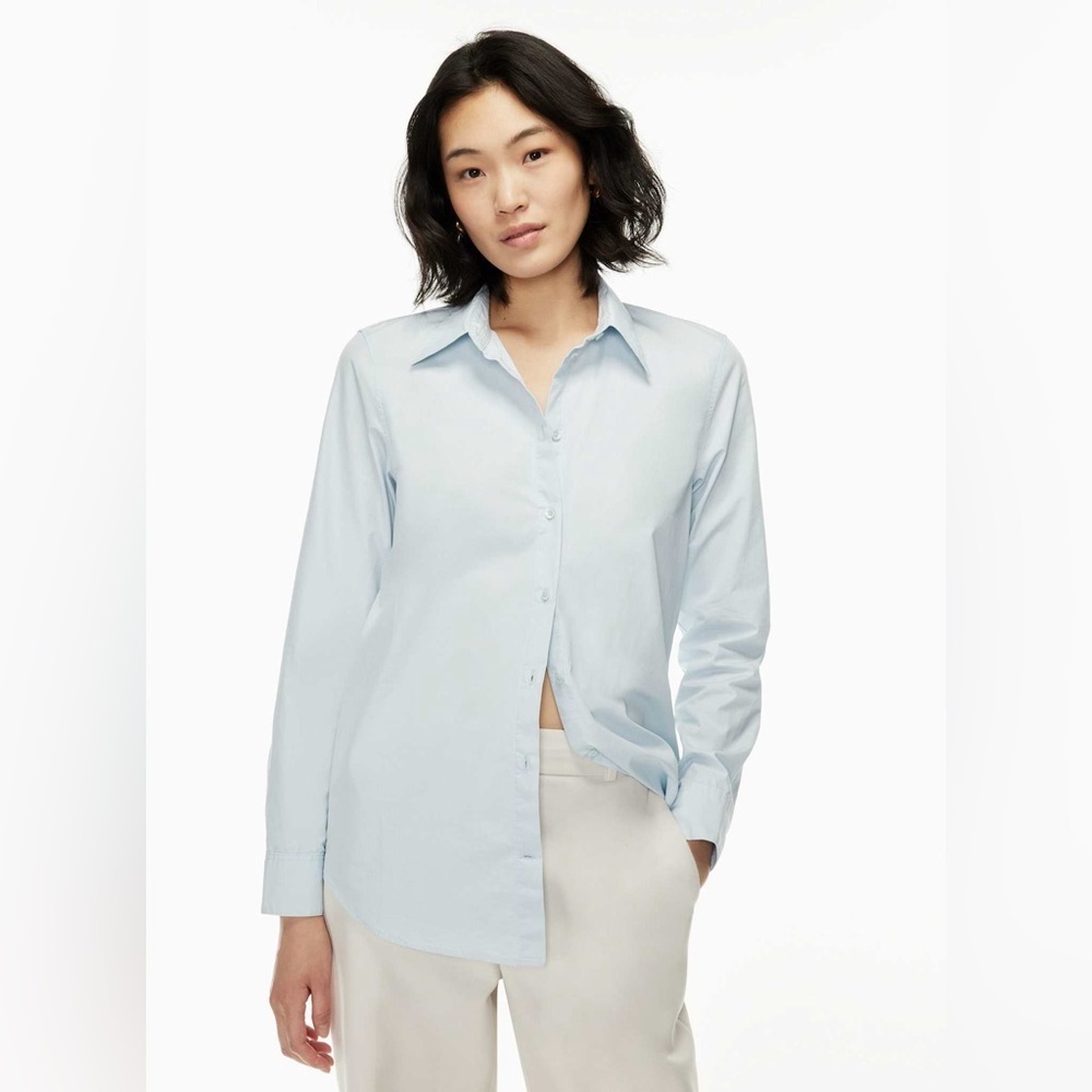 Aritzia Babaton essential classic shirt